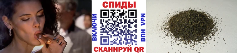 где найти   Данков  Бутират буратино 