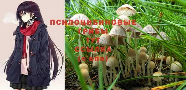 экстази Бородино
